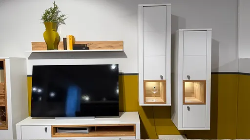TV-Wohnlösung